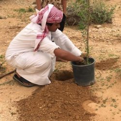 بلدية الأفلاج تُكافح البعوض والحشرات بالأحياء السكنية