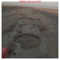 فريق تطوعي ستارة للمحافظة على الأشجار من الإحتطاب