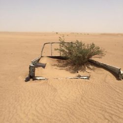 أين هم عن ” تراحم ” ؟