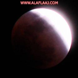 مركز الضبط الأمني في الأفلاج يطيح بشاب بحوزته 52 كيلو حشيش