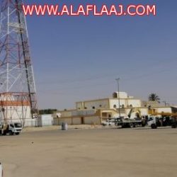 أكثر من 1500 ذبيحة استقبلتها مسالخ ومطابخ الأفلاج خلال أيام عيد الأضحى
