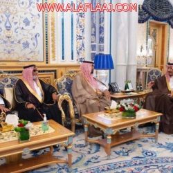 الدكتور محمد العريفي  وكيلآ لوزارة الشؤون الإسلامية