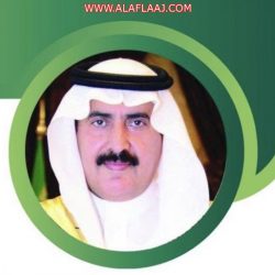 “بنك الجزيرة ” : النتائج إيجابية والأداء المتميز .. شكراً “لجنة تنمية الأفلاج