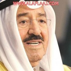 “الشرق الأوسط”: تنسيق سعودي مع حلفاء لردع الحوثيين