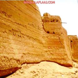 إنسان فرع الأفلاج تنظم رحلة إلى مكة المكرمة لأبناء الجمعية