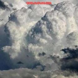 حساب خارجية قبرص على “تويتر” يوجِّه الشكر للمملكة.. لماذا؟