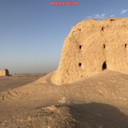 علماء يكتشفون أن “التوتر يؤدي للشيب المبكر”