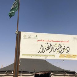 هل يقي الشاي وتناول الخضراوات والفاكهة من الألزهايمر؟