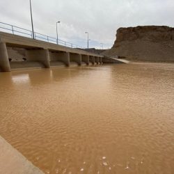“آل الشيخ”: القيادة تولي المواطن والمقيم عناية كبيرة.. والمملكة بلد الخير والعطاء والإنسانية
