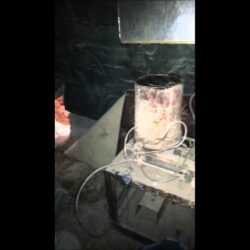 فطائر بالحشرات و بيتزاء بالزجاج بمطعم شهير شمال المحافظة