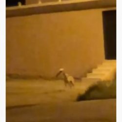 بالصور من خلال المسح الحراري.. الطب الوقائي بمستشفى الأفلاج يكشف على 96 عاملاً