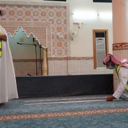 خدمات لتعديل الصور دون أي تطبيق: