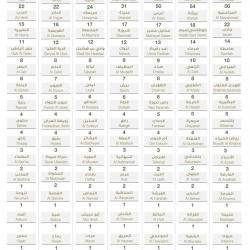 شاهد بالفيديو.. إنقاذ حياة مريضة مصابة بكورونا