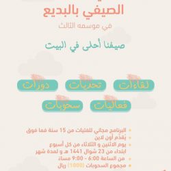 بلدية الهدار تنشئ مجسمات جمالية في الهمجة