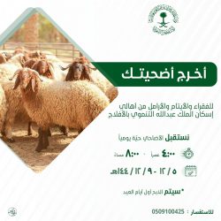 الأفلاج تصوير أنس عيسي