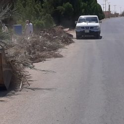 أشهر نخيل الأفلاج “خلاصة فارس والقطارة”.. وهذه قصة “بنوك إخلاص الأحساء وتساقط الدبس”