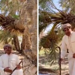 هل يسمح بالسفر إلى دول الخليج بالهوية الوطنية ؟ .. الجوازات توضح