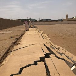 الدجين نائبا للرئيس التنفيذي في سالك