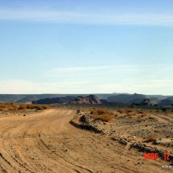 طالبات كليات التقنية يناشدن إفتتاح البكالوريوس في تقنية الأفلاج