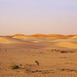 فريق بناء التطوعي يقيم برنامجا تدريبيا بعنوان ” صناعة المبادرات”