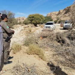 التنمية الأسرية الأولى وبشرى وصون الثانية والثالثة على جمعيات الأفلاج بالفرص التطوعية