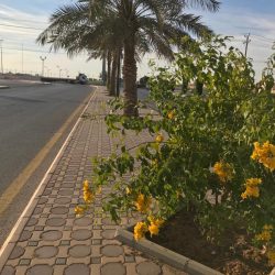 “تعليم الأفلاج” يوقّع 24 مذكرة تفاهم مع جمعيات ولجان تنمية ويكرم 170 متطوعًا..