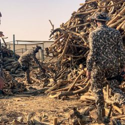 «أرامكو» تعلن رفع أسعار البنزين خلال شهر يناير