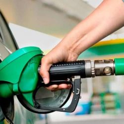 TD HGVDHQ : ضبط 70 طناً من الحطب المحلي المعد للبيع