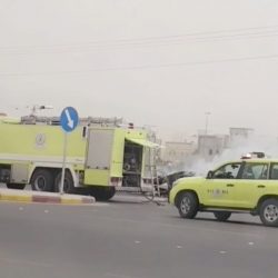 وزارة العدل تعلن عن برنامج الدبلوم العالي المجاني يستهدف عدة مسارات