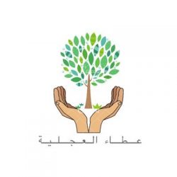 صبا النسائي يقيم دورة الارتقاء بالصحة النفسية ..