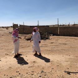 الحبشان إلى المرتبة العاشرة بوكالة التخطيط والتطوير بوزارة التعليم..