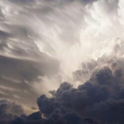 سقط الجناة.. فك غموض “سرقات الـ 70 ألفاً” بالأفلاج وكشف وكر التخزين