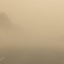 الدكتور عبدالعزيز الفضلي نائباً لرئيس لحنة الانضباط والدكتور عبدالعزيز الرشود عضواً فيها