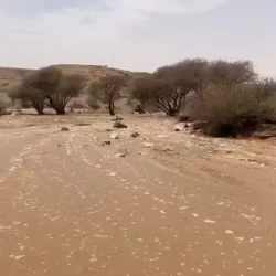 “صحيفة الأفلاج” تستضيف مساحة على تويتر للحديث عن مهرجان التمور