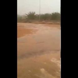 تعميم صكوك المنح يصل للبلدية
