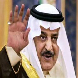 ثعبان يلدغ طفلاً بالأفلاج‎