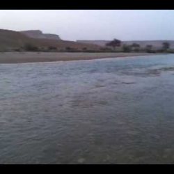 الهلاليون للحارثي :(ابحث لك عن فريق آخر)