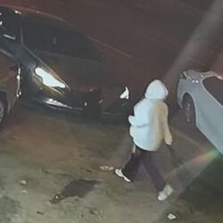 تأهل 6 من نخبة «مجاهيم» إلى التحكيم النهائي في شوط الرؤية (تمهيدي) بمهرجان الملك عبدالعزيز للإبل ١٤٤٧هـ