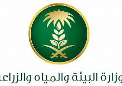 “البيئة” تدعو لتبني سلوكيات التخييم الآمن والتنزه المسؤول خلال فصل الشتاء للحفاظ على الموارد الطبيعية