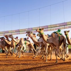 افتتاح فندق مؤسسة الملك عبدالله الإنسانية