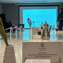 دورةً حول معالم الحوكمة