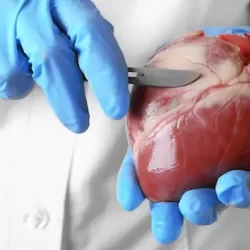 وزير التعليم خلال مشاركته في مؤتمر التعدين الدولي: تأسيس الكلية السعودية للتعدين انطلاقة لمرحلة جديدة من “التعليم المنتج” الذي يربط مخرجات التعليم بفرص الاستثمار