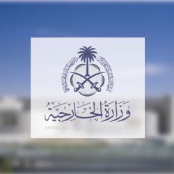العليمي يطلب من السعودية استضافة مؤتمر بشأن “القضية الجنوبية”.. والرياض ترد1