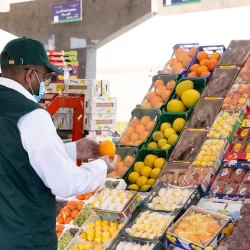 “البيئة” تؤكد أهمية توحيد الجهود الوطنية لتعزيز استدامة البيئة وتحقيق الاقتصاد الأخضر