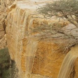 شاهد.. مخلفات شركة مقاولات تصطاد 5 سيارات بالأفلاج