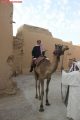 على ظهر الهجين سمران محافظ اﻷفلاج يدشن مهرجان حارتنا القديمة