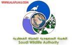 الإعلان عن توفر وظائف شاغرة في الهيئة السعودية للحياة الفطرية