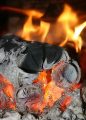 الدفاع المدني يُهيب بأصحاب قصور وقاعات الأفراح الالتزام بمتطلبات السلامة