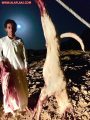 الطالب إبراهيم محمد القحطاني يقتل ذئبا بالأفلاج