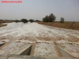 بالصور : كبري فراج يجذب المتنزهين منذ ساعات الصباح الأولى